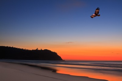 La única planta de geotermia de Australia será ampliada