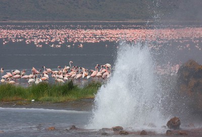 Licitación para perforación geotérmica en Kenia en espera