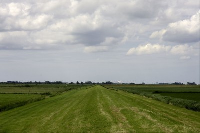 Transmark Renewables solicita 2 licencias de exploración en los Países Bajos