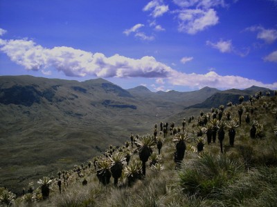 Ecuador estrecha lazos con Islandia en materia geotérmica