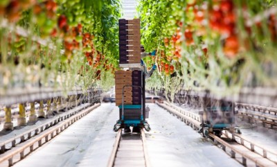 El papel de la geotermia para la agricultura y la piscicultura en Islandia