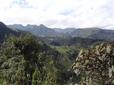 Entrevista a la empresa CHEC: Estado actual del proyecto geotérmico Valle de Nereidas, Colombia