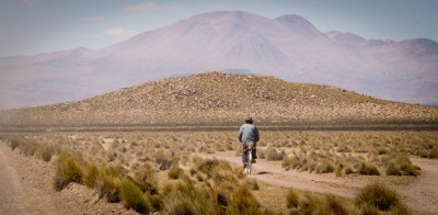 Gobierno enviará en agosto proyecto para modificar licitaciones eléctricas, Chile