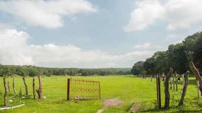 Actualidad sobre el campo geotérmico Cerritos Colorados, México