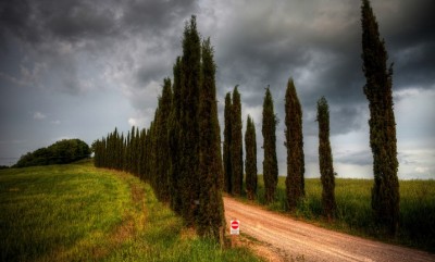 Enel GP impartirá cursos de geotermia en la Toscana