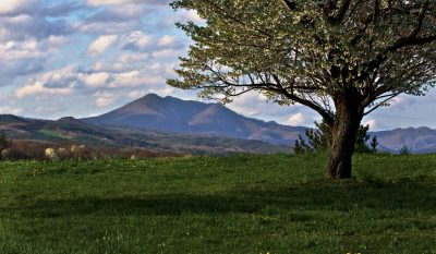 Plantas Geotérmicas de pequeña escala están aumentando en Japón