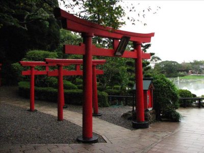 Mayorista petrolera JV en Japón considerando inversión geotérmica