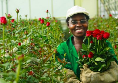 Oserian Development es la mejor empresa de energía renovable en Kenia
