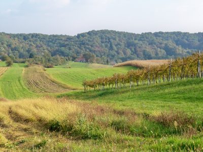 Se construirá una planta de energía geotérmica de 20 MW en Croacia