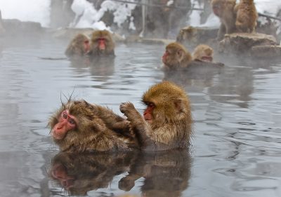 Los aspectos sanitarios de la geotermia: Envejecer mejor con aguas geotérmicas