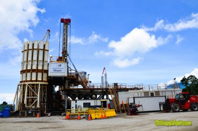 La inversión extranjera en energías renovables en Filipinas está restringida por limitaciones constitucionales