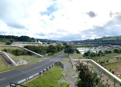 Una actualización sobre el sector geotérmico en Nueva Zelanda por NZGA