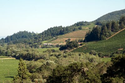 Mendocino se une a una asociación para explorar la geotermia en los géiseres
