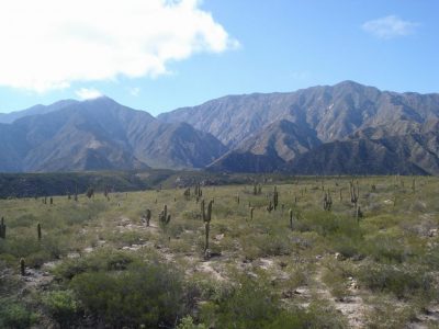 Minería de litio vuelve a poner la geotermia sobre la mesa en Argentina