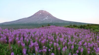 GeoAlaska amplía el área de prospección geotérmica en la isla Augustine, Alaska