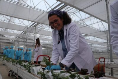 Entrevista – El invernadero geotérmico de Kula, Turquía, como facilitador del desarrollo rural