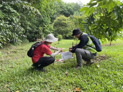 Estudio sísmico pasivo indica potencial depósito geotérmico en Yishun, Singapur
