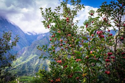 Project InnerSpace anuncia proyecto de almacenamiento en frío geotérmico en India bajo un programa de financiación
