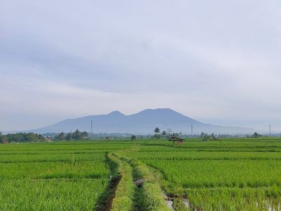 First Gen (EDC) se expande a Indonesia con una estrategia de inversión en geotermia