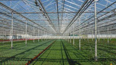 Comienza la perforación geotérmica para la agricultura de invernadero en Eskisehir, Turquía